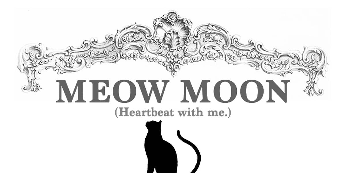 Meow Moon